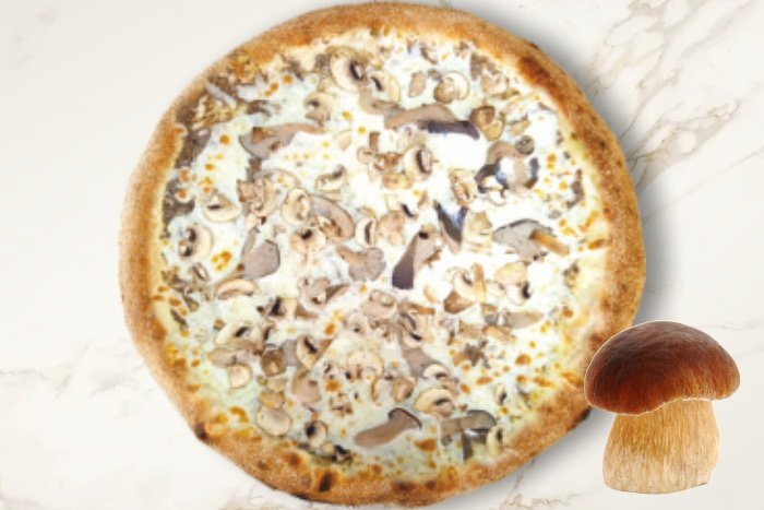 Фунги Порчини